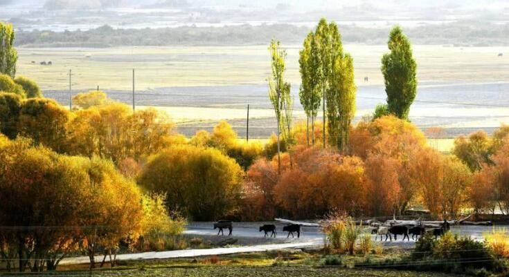 中国最牛小县城,面积相当于两个天津,却和3个国家接壤!