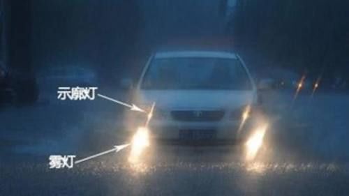  [开远光灯]暴雨天不能开双闪？老司机：这都不知道，驾照是买来
