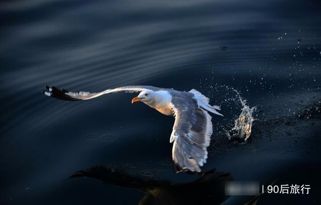  【节约用水】贝加尔湖再创奇迹，湖水改流中国犹如引海入彊，利国利民的好事