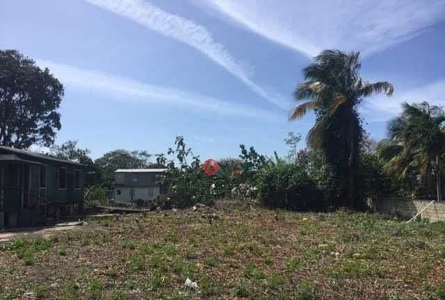  查维斯：委内瑞拉有那么多的优质耕地，为何粮食不能自给自足？