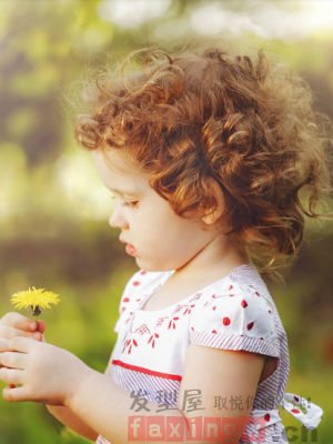 叮咚!你的可爱小卷毛已上线