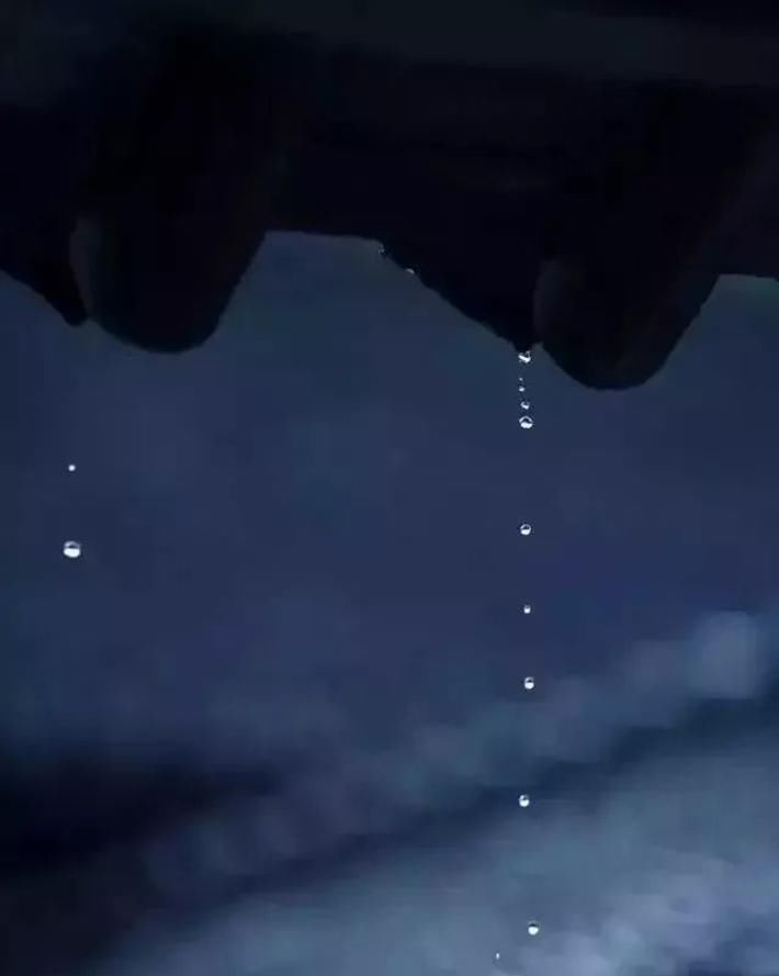  『雨点将画面晕染成』一场春雨一场暖，春雨怎么拍才有味这些作品给你灵感