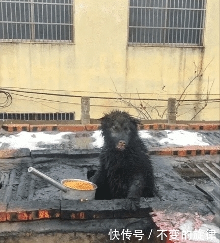 用来:我一直以为这个洞是用来放手指的,直到现在我才发现错了,哈哈哈哈哈哈