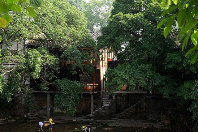  『上挂』重庆的偏岩古镇，当地特有的民俗，古树上挂的树娃娃是做什么用？