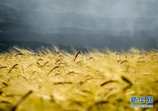 你要的假期都拿走!