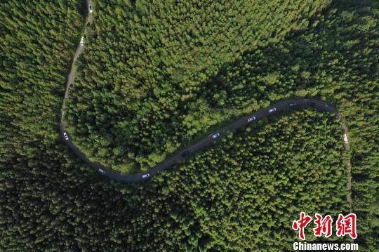 贵州面向社会征集“最美贵州绿”摄影作品