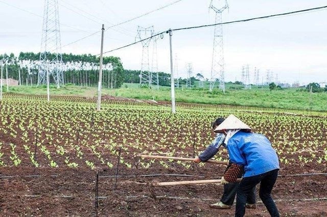 2019年下半年的农业补贴全了，农民好好看看，哪一项最适合你！