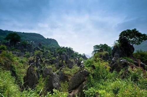 广西最壮观的石林，原生态的风景令人称奇，春节你想去看看吗？