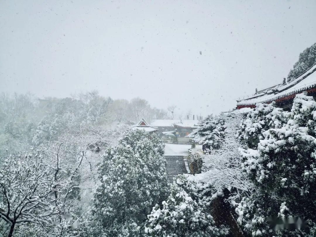  『岱宗』春雪空濛落岱宗，最美人间四月天