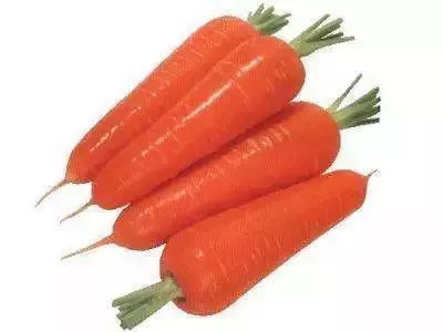 【辟谣】食物相克??NO!看这里?