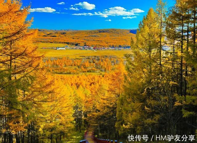 中国最美秋色：比喀纳斯清新，比稻城更童话！正适合秋天