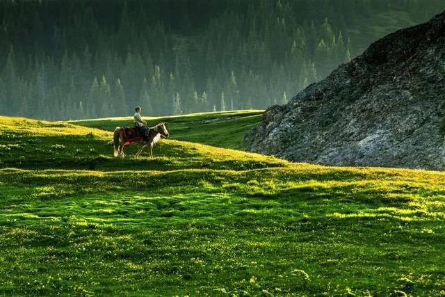 中国春天最美的七个地方，你最想去哪个？