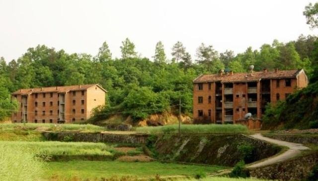 秦岭巴山之间这家兵工厂，建筑破败，一片废墟，成了牛羊的乐园