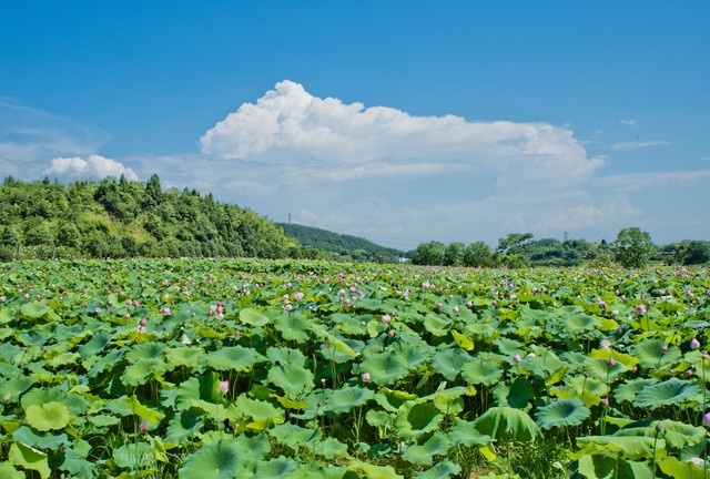中国游客最稳定的6个旅游目的地，四季皆可玩，基本不分淡旺季！