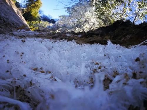 一大波美图正在向你袭来!鹰潭的雾凇让你一秒入仙境!