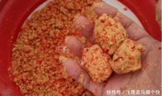  玉米■湖库守钓，为什么说不要玉米打窝玉米钓