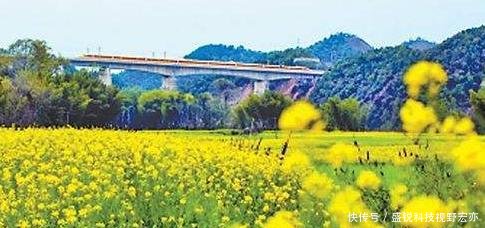 广西到广东在建一条新高铁，途经11地，沿线将会有新机遇