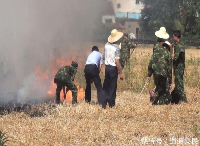  「秸秆」注意了！年底村干部有新任务，这4件事将“严查”，千万