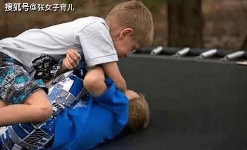  大道理@2岁小宝宝爱打架该怎么办？大道理讲堵塞，打又不舍得，何不试一下这这几个常用招式