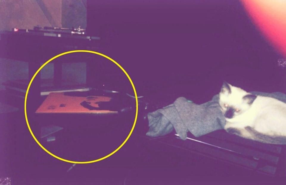 30岁的助理说，和17岁的四字弟弟谈恋爱，绝对不是姐弟恋