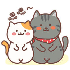 你真的适合“欧式”双眼皮吗？