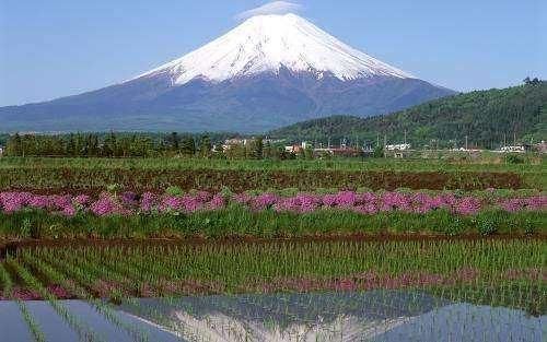 日本富士山不属于国家所有，每年都要交高额租金