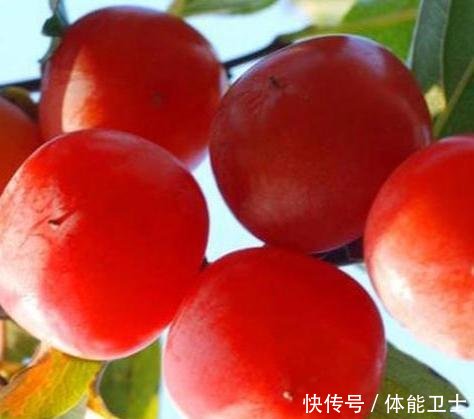 #种植#3种“果树”最牛逼,沾土就能活,好养如绿萝,味道有酸有甜