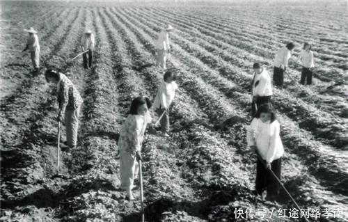  拍摄|外国人拍摄的70年代中国老照片想不到70年代的人们是这样子