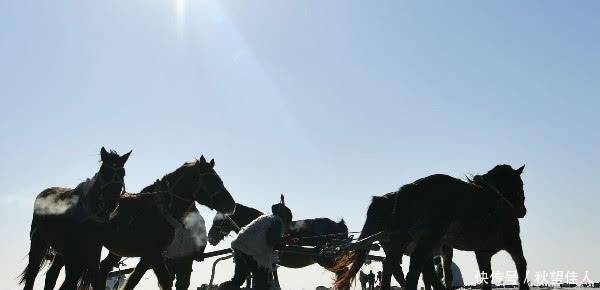 东北查干湖鱼越来越多，当地人为何担忧导游说出气愤原因