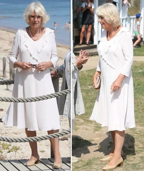 梅根被哈里批评?!原因居然是Skr... | 福尔摩斯 小郑周报