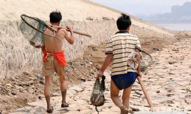 为什么黄河泥沙那么多，鱼还又大又肥？网友一句话阐明道理