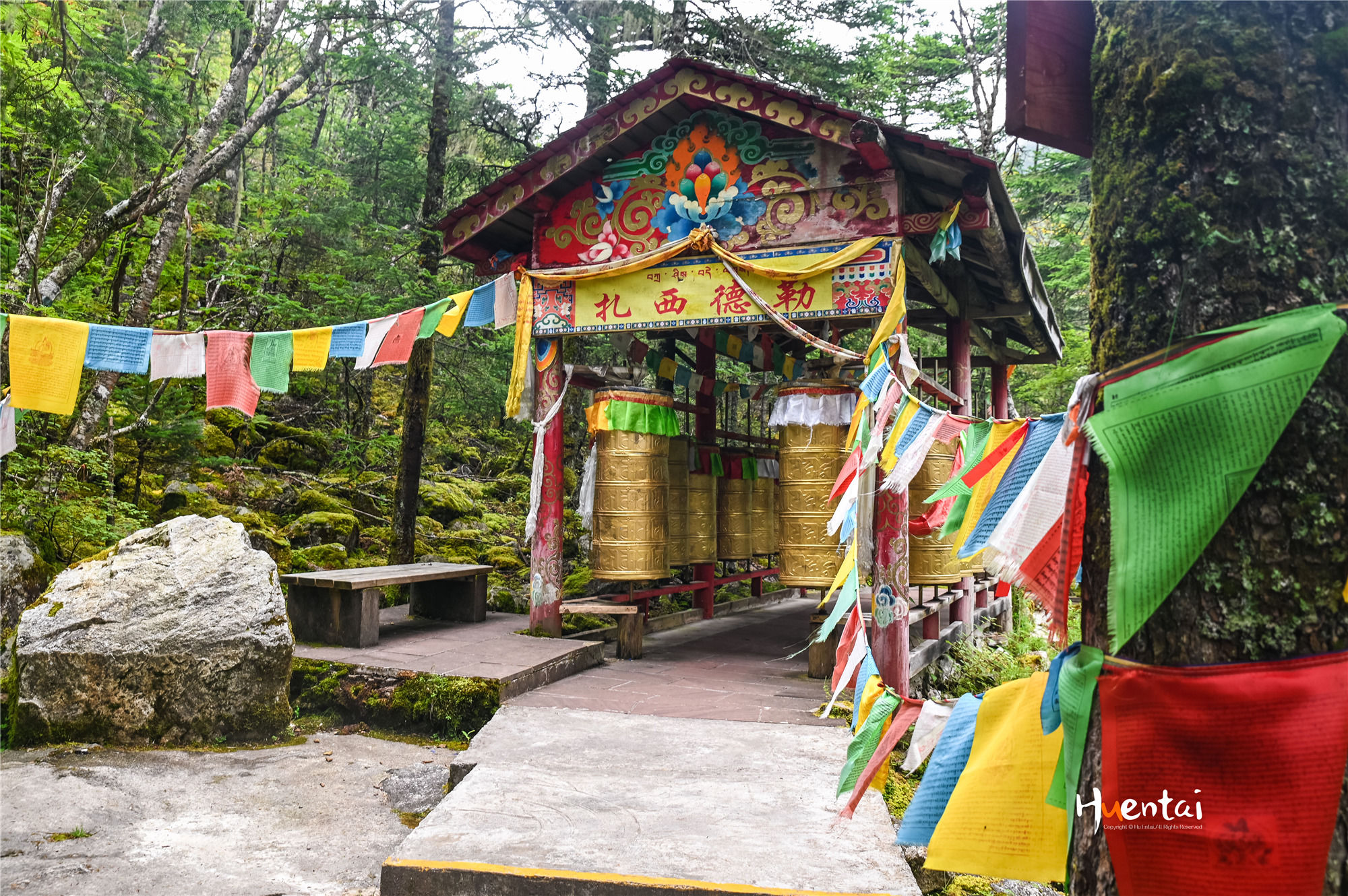 出发即收获，自驾川西秘境木格措