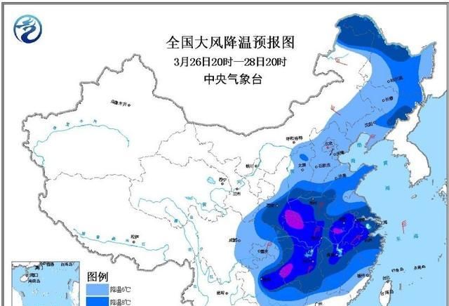  「干旱」小麦干旱发黄，农民为啥不愿浇地？原因找到，让人叹息