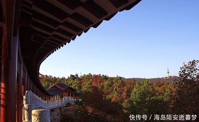 我国十分良心的景区，名气大并且是5A级景区，但是年年亏损