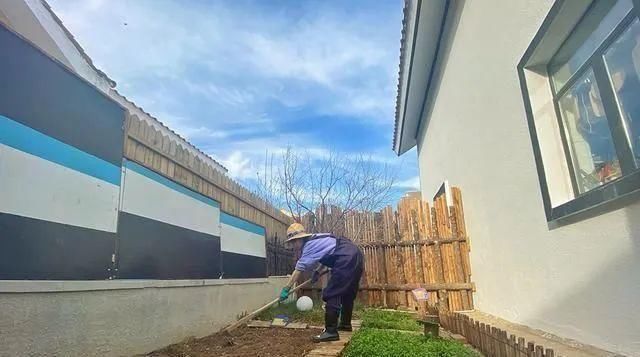  「蔬菜」明星都开始在家种菜了，你心动了吗？
