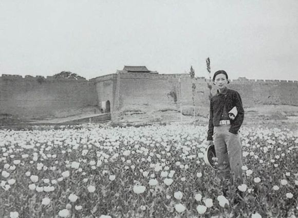  工作：林徽因35张工作照，很是珍贵！每一张都很美！