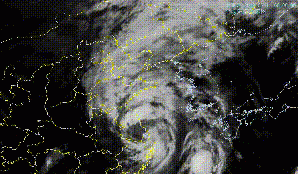 最新！利奇马预计今天傍晚到夜间在山东再次登陆！济宁今晚还有大