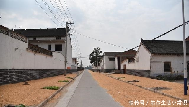  「玉米」国庆假期里的河南乡村，柿子挂满枝头，街道被玉米占领