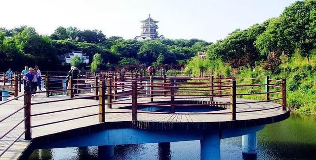 河南这个湖要火!游客纷纷来吃鱼!景色绝美,竟不输千岛湖!