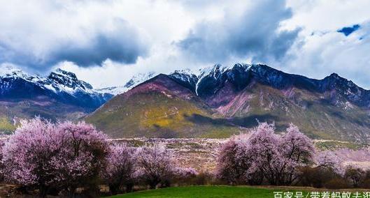 中古最美的春天，了解一下！