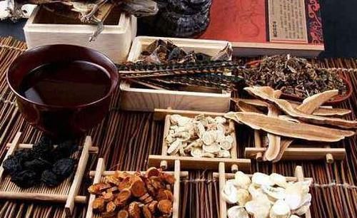  『长寿花』这种花真奇怪，喜欢'喝'中药，叶子油绿，花开一茬接一茬