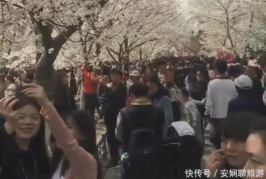 10万游客挤爆玉渊潭公园赏樱,游客:手机都“罢工”了