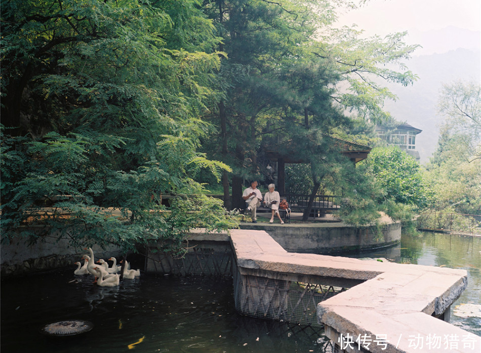  「农民」直击：他们在别墅里享受“隐密”的高质生活，琐事由周