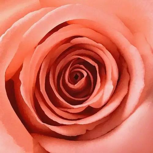 太实用了,用手机拍出好片的10个绝招!