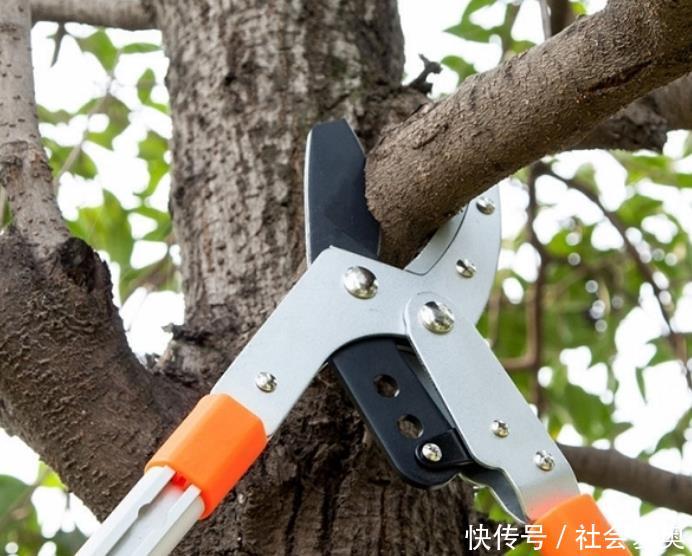 中国“电动锄头”一出，耕地不再愁，一天能锄几百亩，忒省力