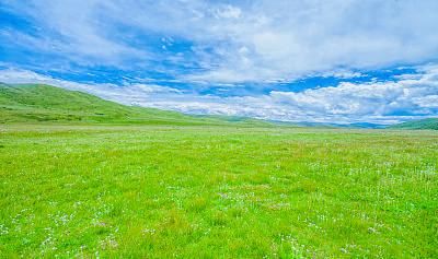 去西藏的路上，你会听的歌单