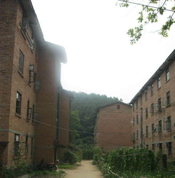 秦岭巴山之间这家兵工厂，建筑破败，一片废墟，成了牛羊的乐园