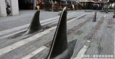 街头突然出现“鲨鱼鳍”，路人拍手称快，司机叫苦连天