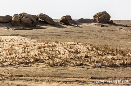 [世界人民]中国又宣布什么决定引起了世界人民瞩目，但有一个国