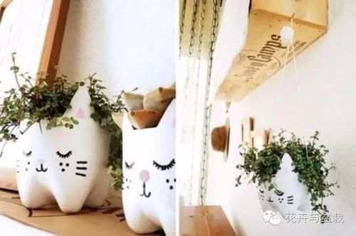  能力■塑料瓶的园艺小创意，考验动手能力的时候到了